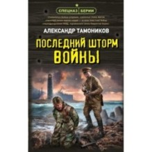 Последний шторм войны