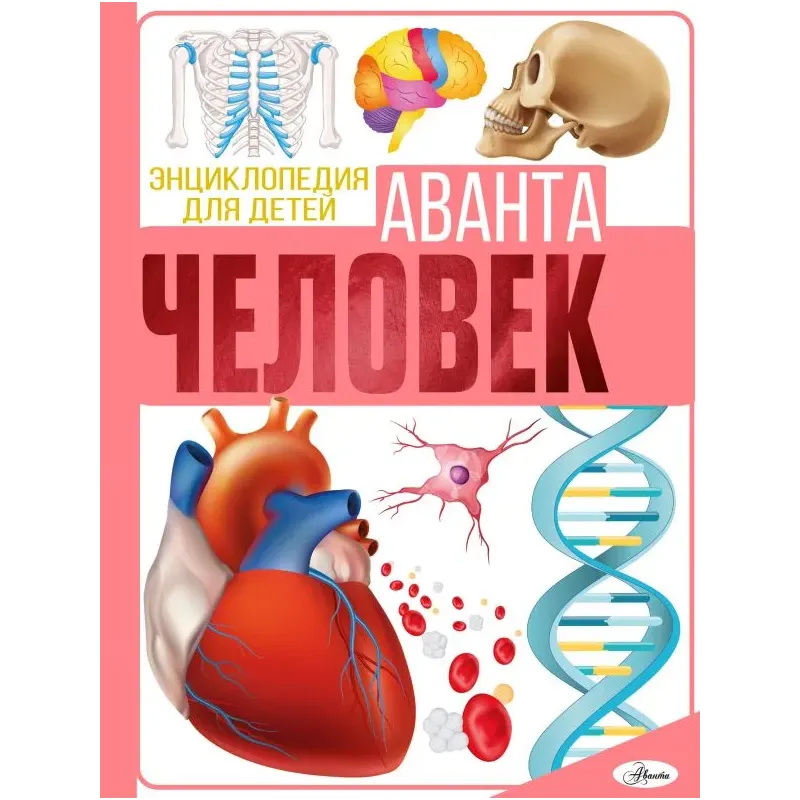 Человек Человек