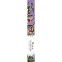 Письмо незнакомки