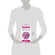 Японская мифология. Для тех, кто хочет все успеть