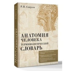 Анатомия человека.Терминологический словарь