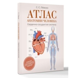 Атлас анатомии человека. Сердечно-сосудистая система