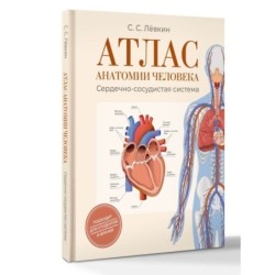 Атлас анатомии человека. Сердечно-сосудистая система