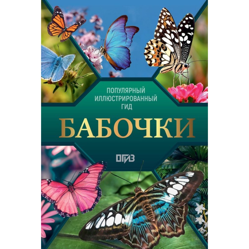 Бабочки. Иллюстрированный гид