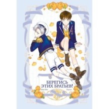 Берегись этих братьев! Том 2