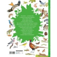 Животные рядом с нами