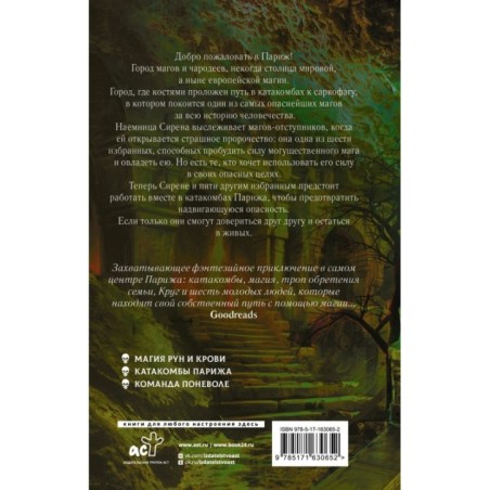 Круг Шести. Руны и кости