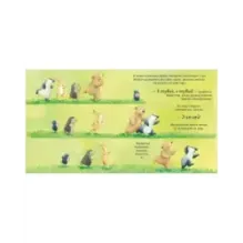 Книжки-картинки (мягкая обложка). Я люблю тебя всем сердцем