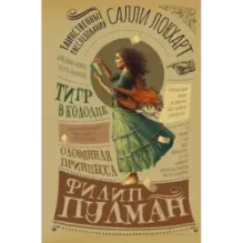 Таинственные расследования Салли Локхарт. Тигр в колодце. Оловянная принцесса