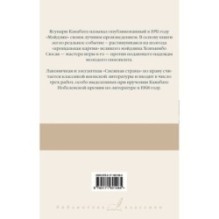 Мэйдзин. Снежная страна