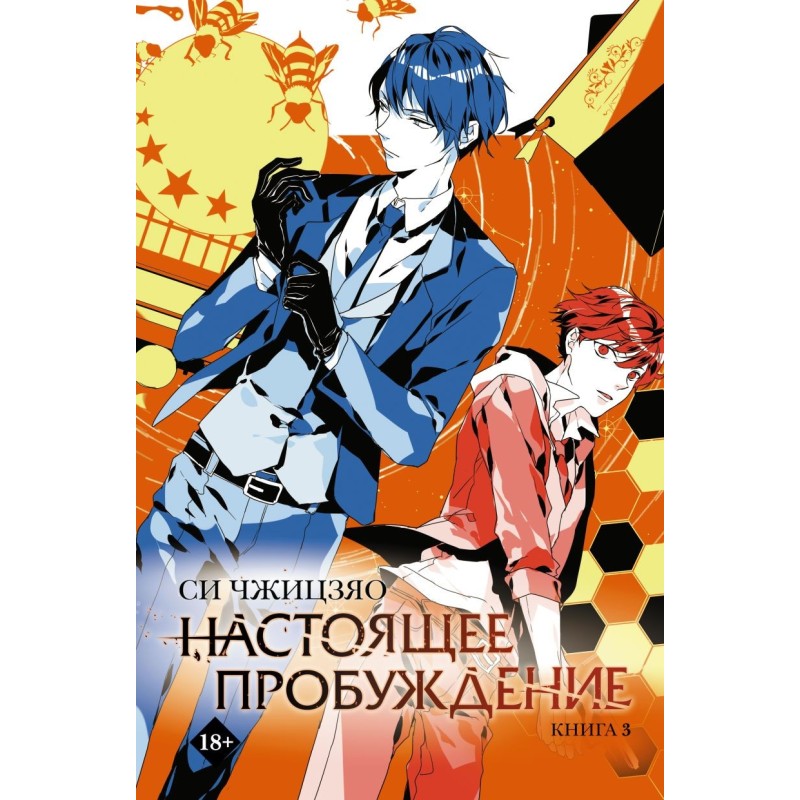 Настоящее пробуждение. Real Awakening. Книга 3