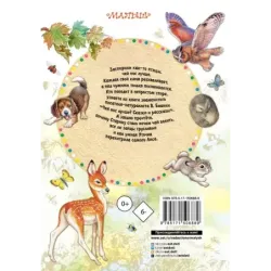 Чей нос лучше? Сказки и рассказы