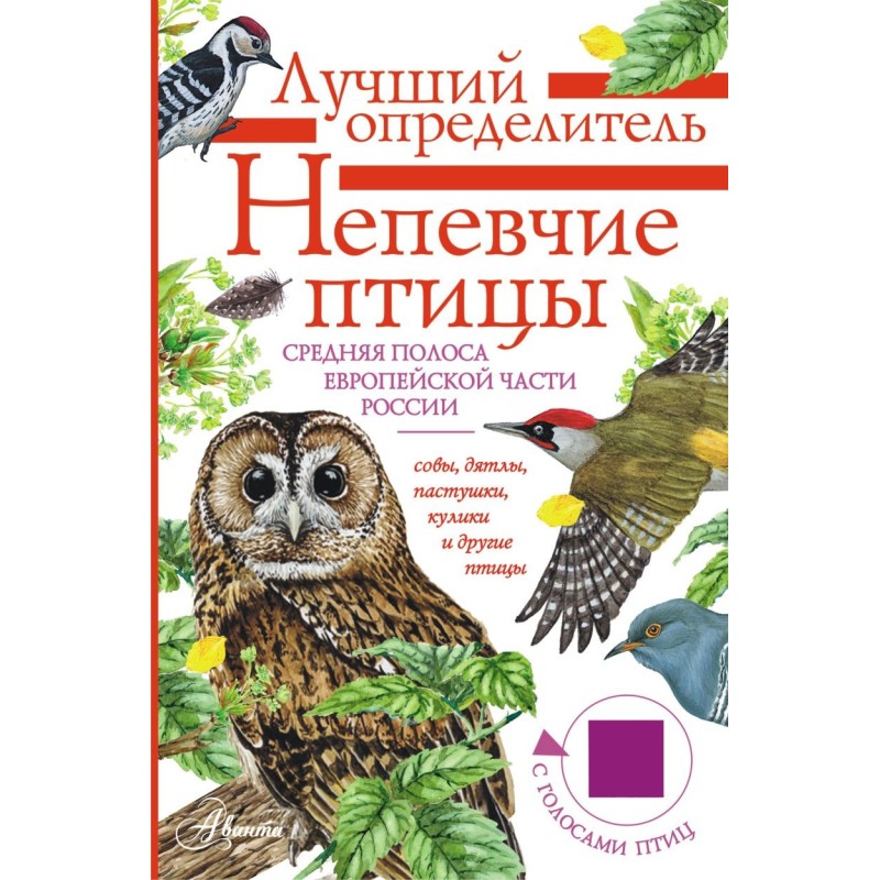 Непевчие птицы. Средняя полоса европейской части России. Определитель с голосами птиц