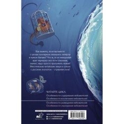 Особенности укрощения небожителей