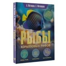 Рыбы коралловых рифов