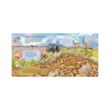 Удивительные животные. Где обитают животные?