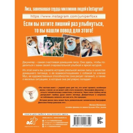 Счастливая лиса Джунипер