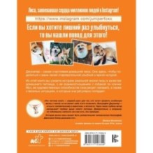 Счастливая лиса Джунипер