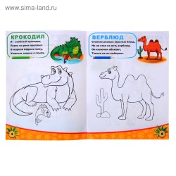 Раскраска «Животные южных стран», 12 стр.