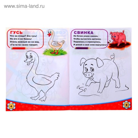 Раскраска детская «Домашние животные», 12 стр.