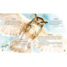 Гарри Поттер. Год с волшебством (илл. Джима Кея)