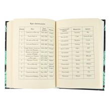 Таймлесс. Книга 3. Изумрудная книга