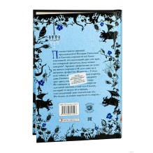 Таймлесс. Книга 2. Сапфировая книга