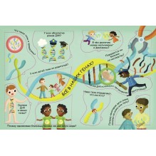 Волшебные окошки. Откуда берутся дети?