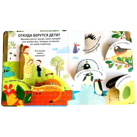 40 окошек. Откуда берутся дети