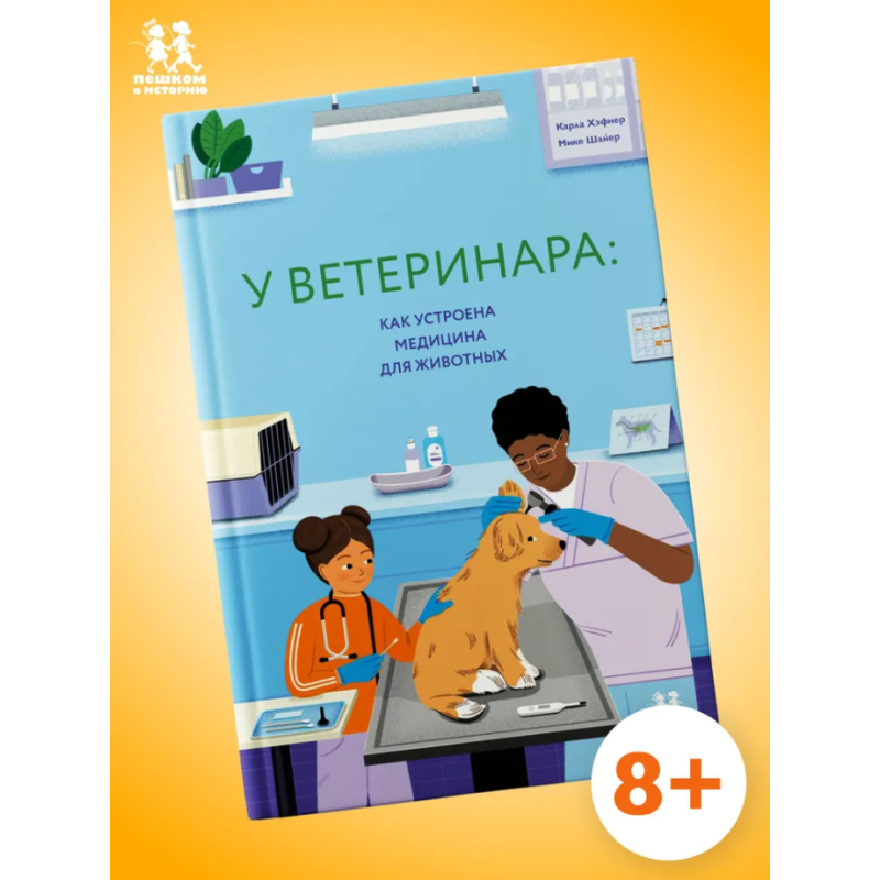 У ветеринара: как устроена медицина для животных У ветеринара: как устроена медицина для животных