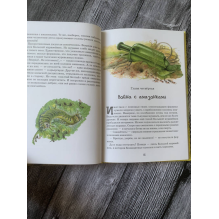 Приключения храброго муравья