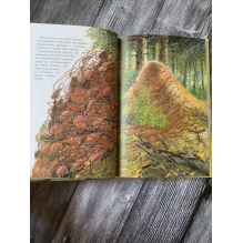 Приключения храброго муравья