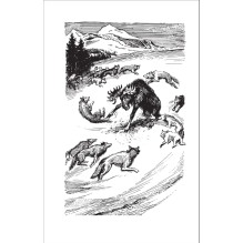 Лондон Дж. Белый клык (ВЧ)