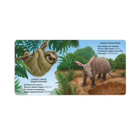 Книжки - картонки. Загадки - рифмы. Самые-самые животные