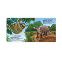 Книжки - картонки. Загадки - рифмы. Самые-самые животные