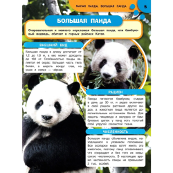 Панды и другие редкие животные. Энциклопедия с заданиями.