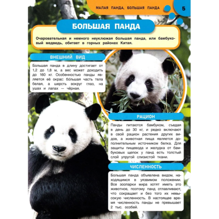Панды и другие редкие животные. Энциклопедия с заданиями.