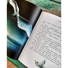 100 ЛУЧШИХ КНИГ. Чудесное путешествие Нильса с дикими гусями