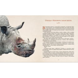 Слонёнок и другие сказки