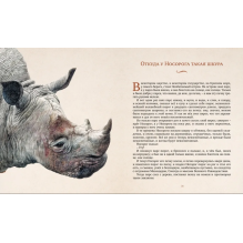 Слонёнок и другие сказки