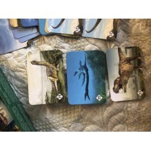 Мемо "Мир динозавров"