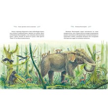 Самые красивые сказки о животных