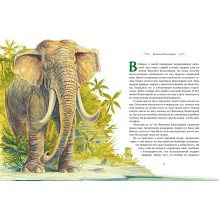 Самые красивые сказки о животных