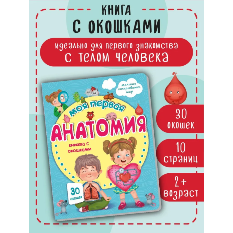 Малыши открывают мир. Моя первая анатомия. Книжка с окошками