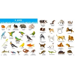 1000 картинок. Животные Мира