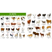 1000 картинок. Животные Мира