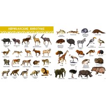 1000 картинок. Животные Мира