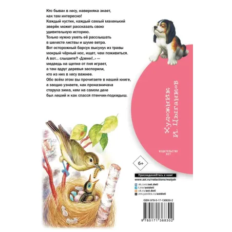 Лесные рассказы