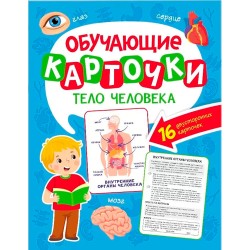 Обучающие карточки. Тело человека