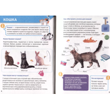 Энциклопедия для маленьких почемучек. Домашние питомцы